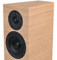 AQ Labrador 38 (1)
