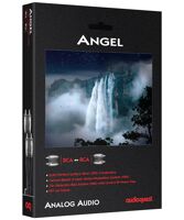 Audioquest ANGEL RR - kabel audio 2 x RCA - 2 x RCA, stříbrné vodiče + DBS (5)
