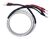 Acoustique Quality 646-BW MKII - reproduktorová sada kabelů, bi-wiring zapojení